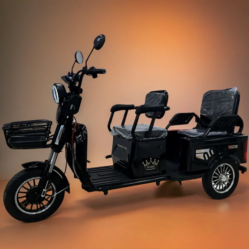 Электротрицикл ProTrike Караван R Электротрицикл ProTrike Караван R